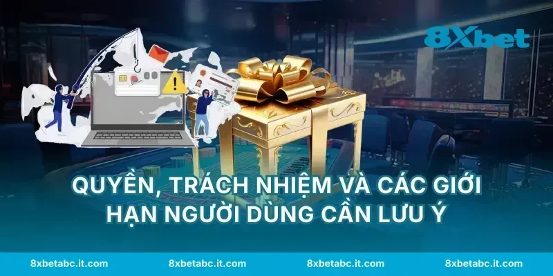 Quyền, trách nhiệm và các giới hạn người dùng cần lưu ý