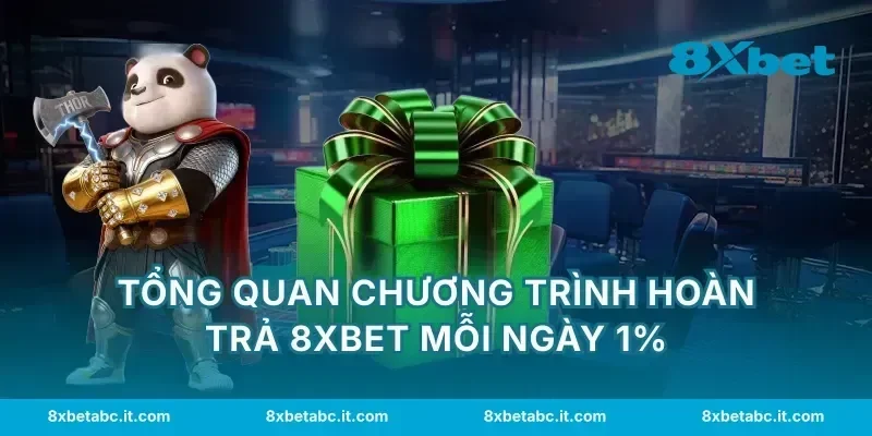 Tổng quan chương trình hoàn trả 8XBET mỗi ngày 1%