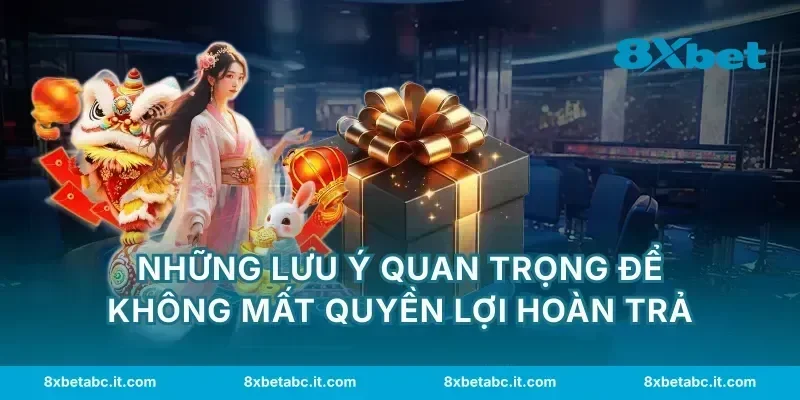 Những lưu ý quan trọng để không mất quyền lợi hoàn trả
