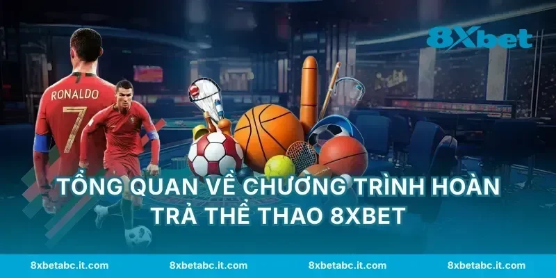 Tổng quan về chương trình hoàn trả thể thao 8XBET