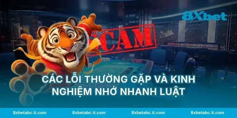 Các lỗi thường gặp và kinh nghiệm nhớ nhanh luật