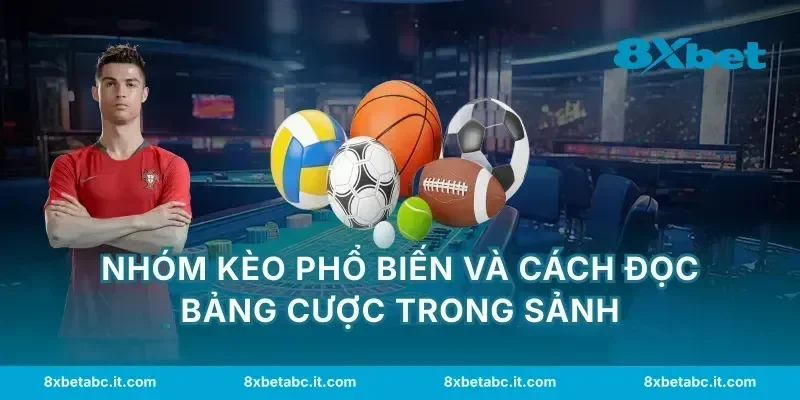 Nhóm kèo phổ biến và cách đọc bảng cược trong sảnh
